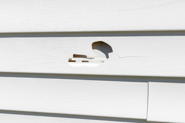 Best Shed Removal  in Mathews, LA